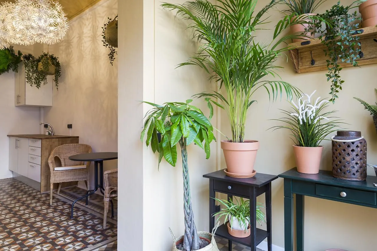 Hotel Casa Maca Barcelona (Adults Only) Spagna